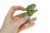 Fingerbeißender Dinosaurier